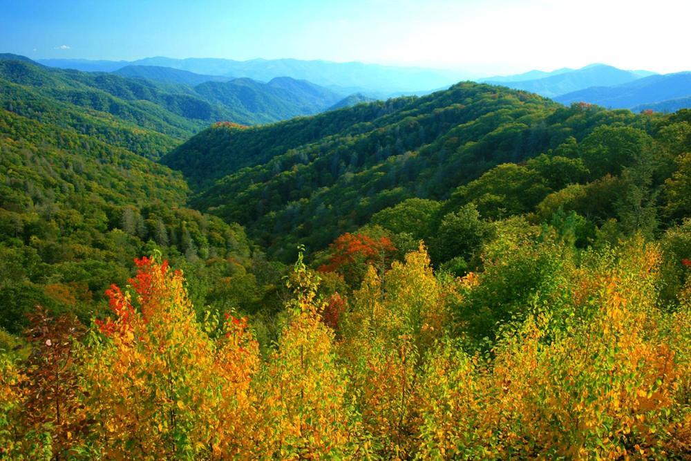 Awesome View, Pool, Hot Tub Game Room, Fireplace Sevierville Exteriér fotografie